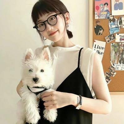 李佩西与五大王国的守护者 海报